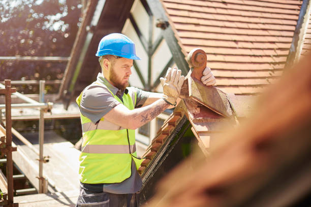 Roof Gutter Cleaning in Reidsville, GA